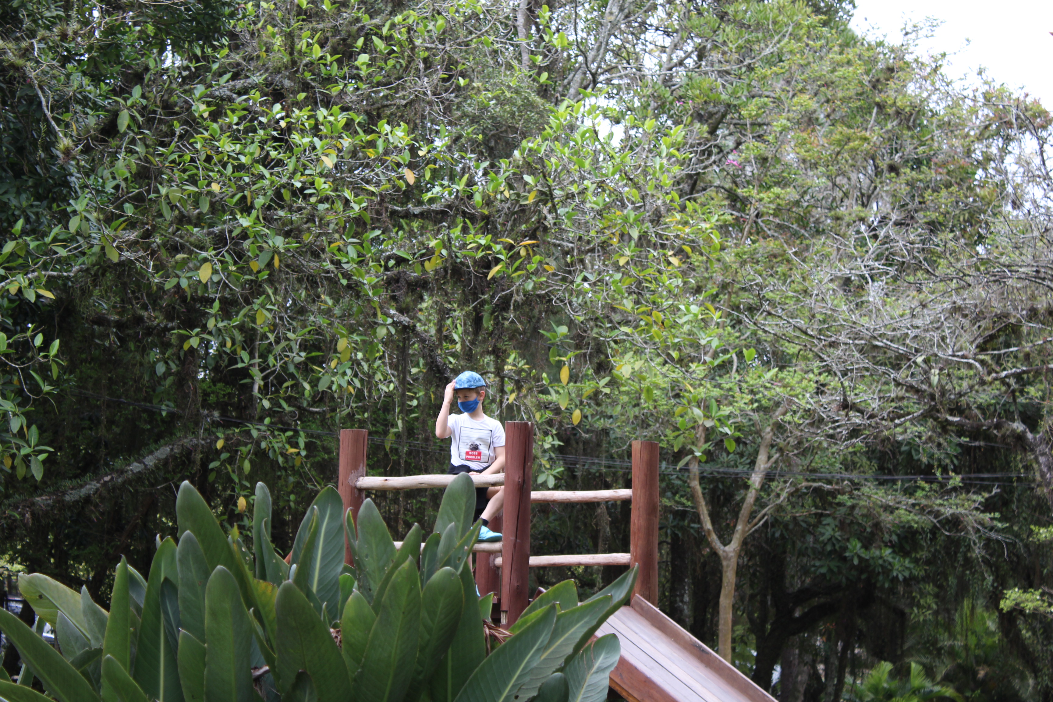 Cópia_de_IMG_7334.JPG